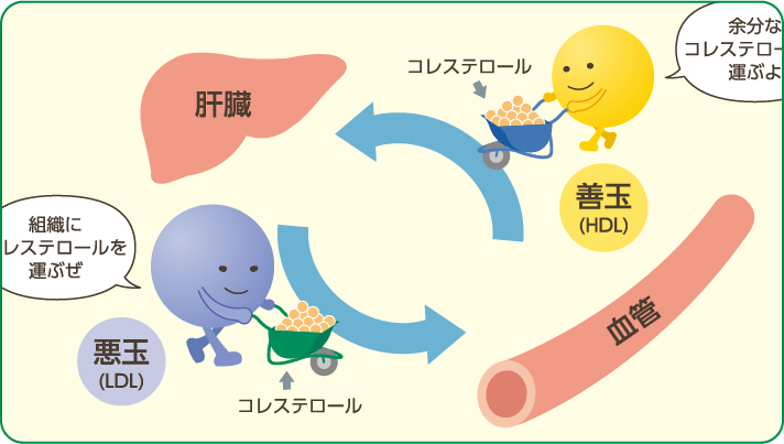 誰が検査を受ける必要がありますか?